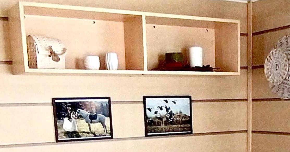 Mobil Home 5Pers Proche Europa Park Dans Camping 3Etoiles Boofzheim Exterior foto